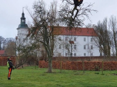 Vi rækker langt ind i haven, når vi skal fælde dine træer. Så skånes arealerne og oprydningen er minimal.